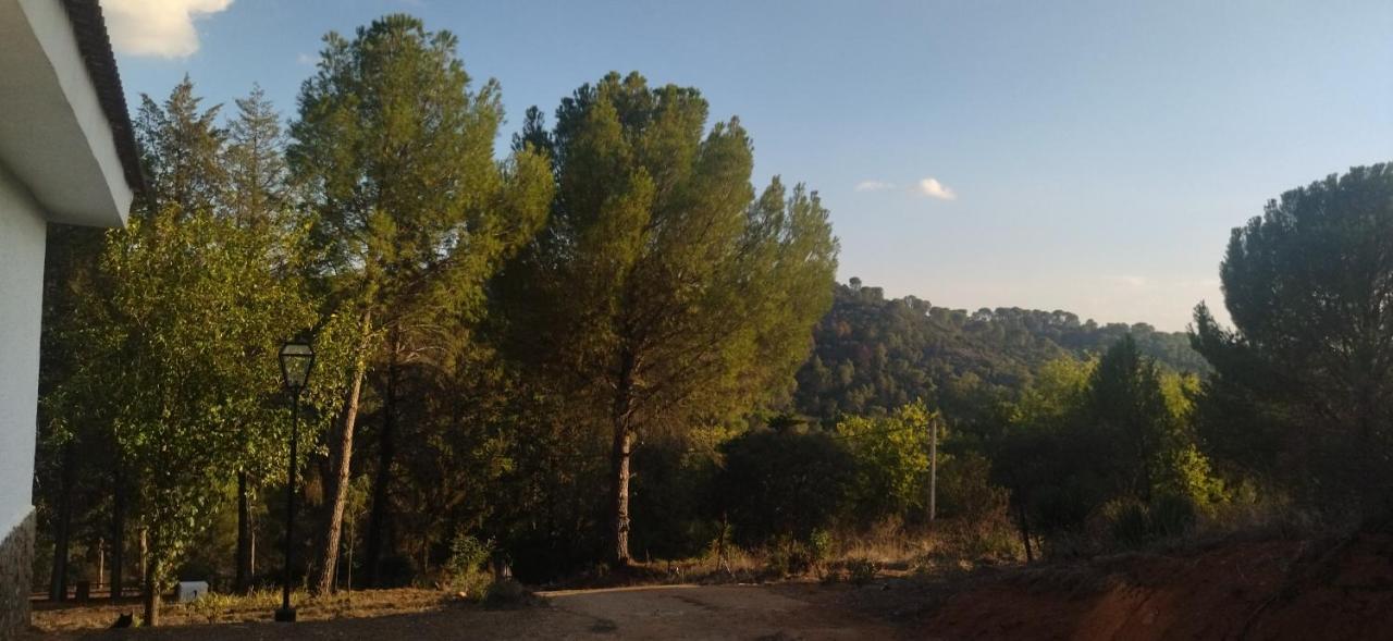 Bonita Casa Blanca En El Bosque. Villa Kordoba Bagian luar foto