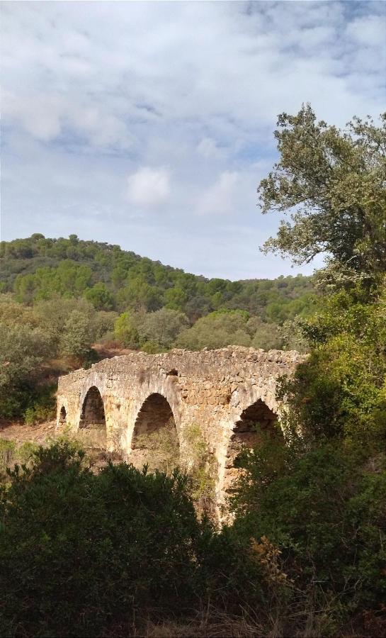 Bonita Casa Blanca En El Bosque. Villa Kordoba Bagian luar foto