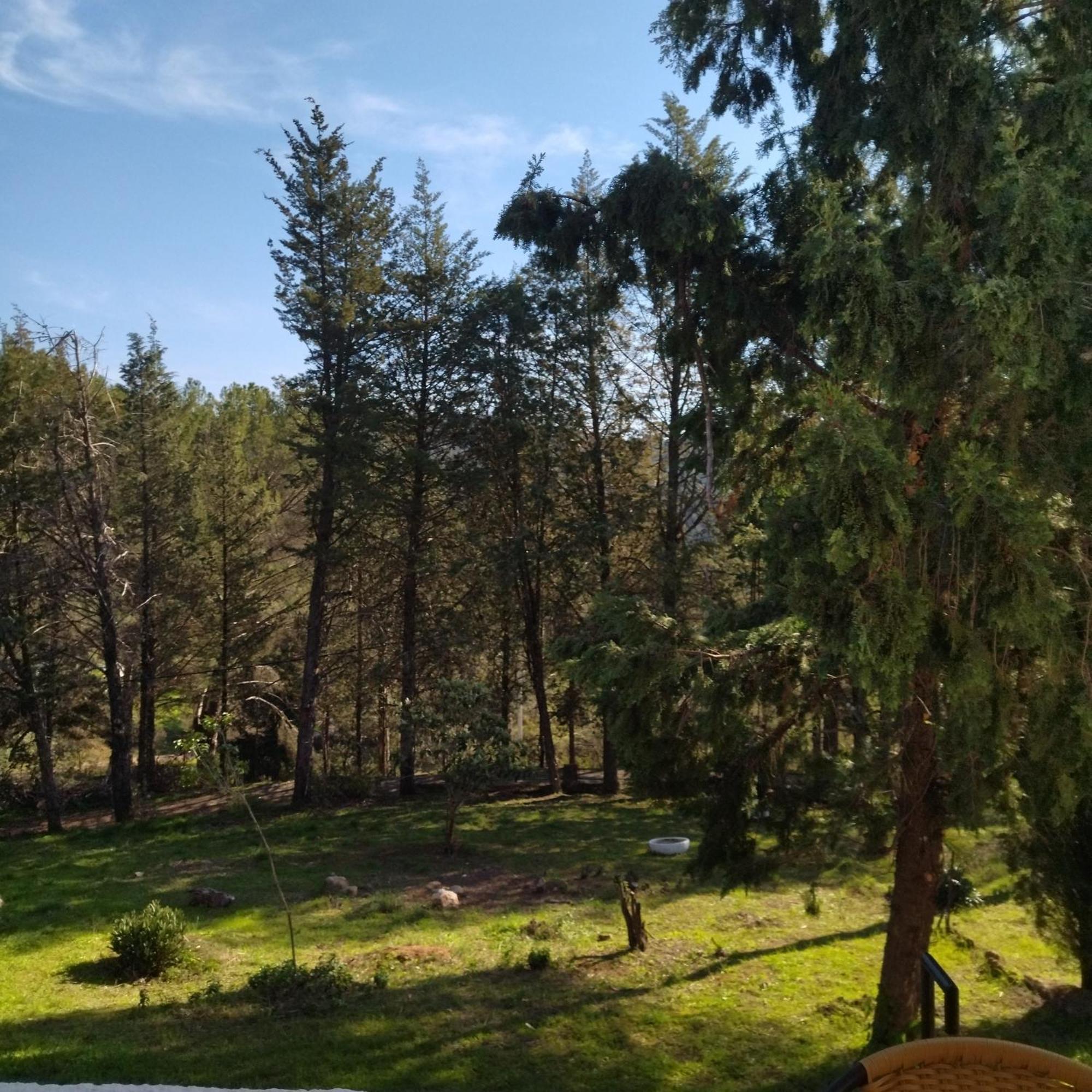 Bonita Casa Blanca En El Bosque. Villa Kordoba Bagian luar foto