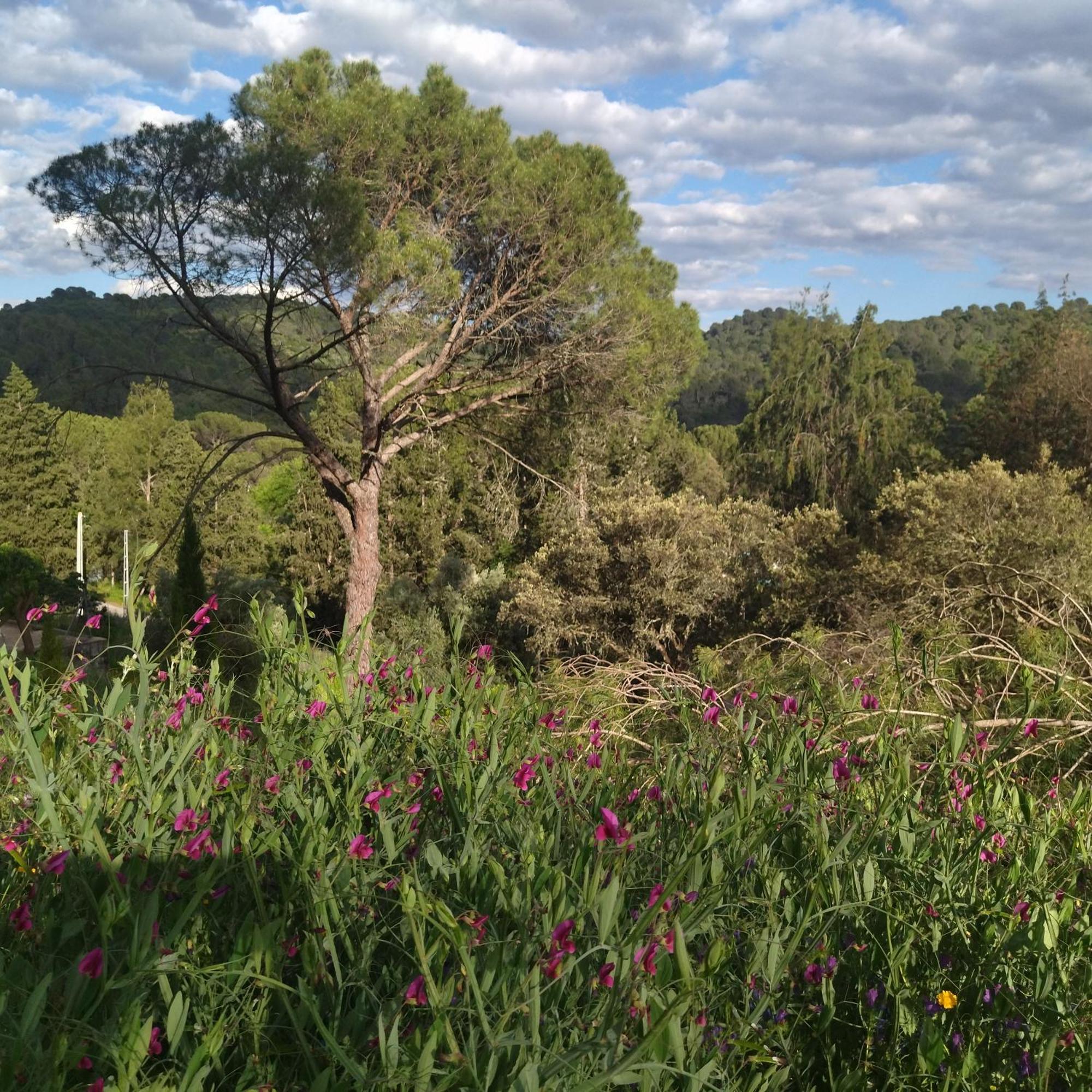 Bonita Casa Blanca En El Bosque. Villa Kordoba Bagian luar foto